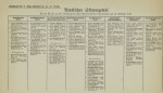 Amtlicher Stimmzettel für die Nationalratswahl 1919